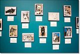 photo Catcafe-14_zps95487dd6.jpg