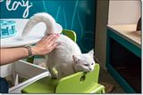 photo Catcafe-20_zpsefa8dcb5.jpg
