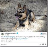 photo Militarycelebratesnationaldogday-5_zpsbf42ab33.jpg