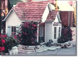 photo luxurydoghouse-1_zps93cb39c1.jpg