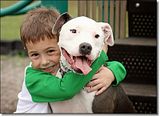 photo pitbull-2_zps7b3dfe37.jpg