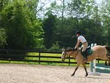 JumpIntoSpring103.jpg image by ssilver3722