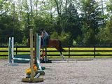 JumpIntoSpring111.jpg image by ssilver3722