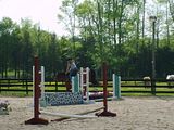 JumpIntoSpring112.jpg image by ssilver3722