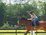 JumpIntoSpring115.jpg image by ssilver3722