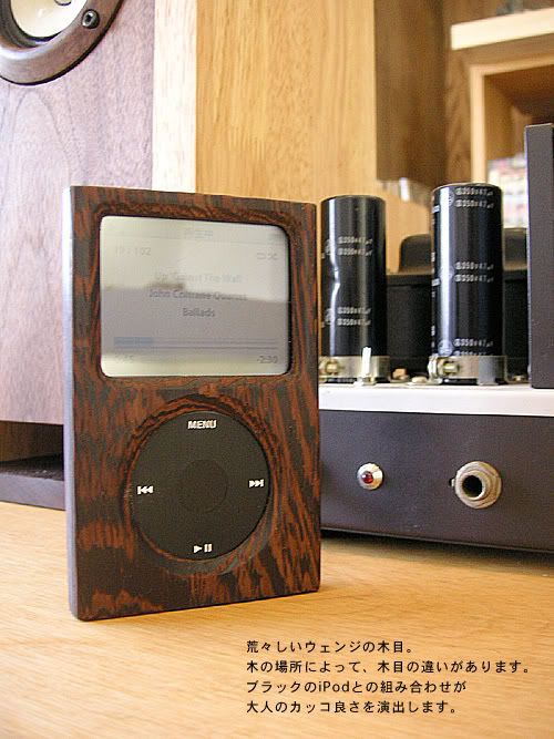 ipod_04.jpg