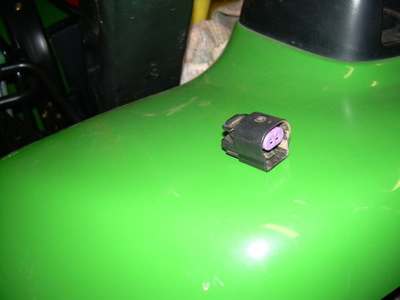 DSCN0527.jpg