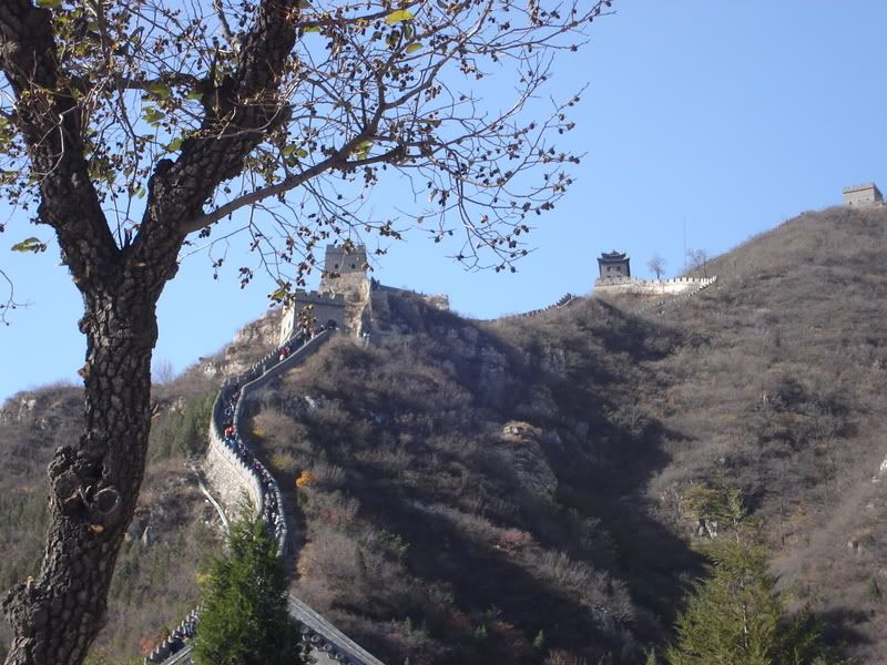 The great wall china:china-1111875