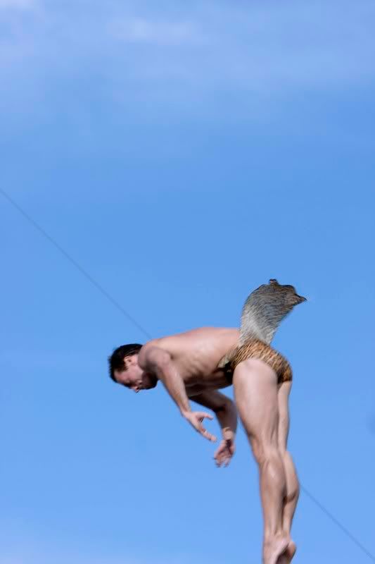 IMAGE: http://i145.photobucket.com/albums/r229/GliderParentsNTN/40D%20focus%20test/IMG_0659.jpg