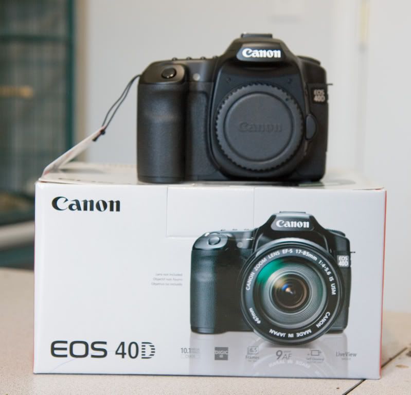 IMAGE: http://i145.photobucket.com/albums/r229/GliderParentsNTN/40D/IMG_3771.jpg