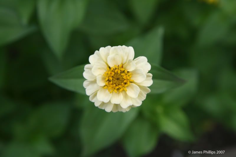 IMAGE: http://i145.photobucket.com/albums/r229/GliderParentsNTN/July%2015%202007/IMG_5357-1.jpg