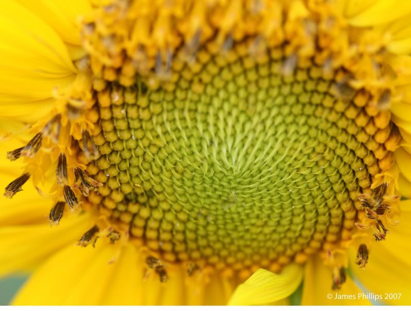 IMAGE: http://i145.photobucket.com/albums/r229/GliderParentsNTN/July%2015%202007/IMG_5379-1.jpg