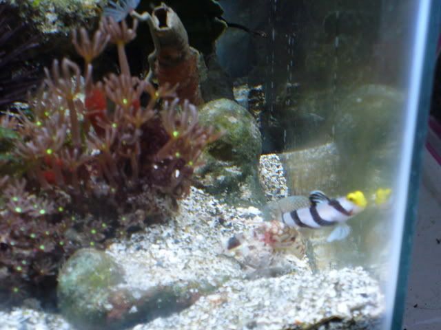 P1000340.jpg