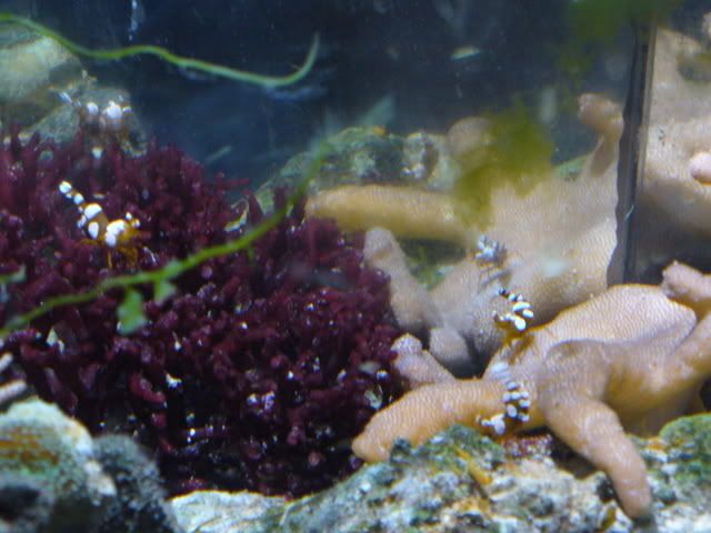 P1000341.jpg