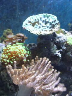 P1000345.jpg