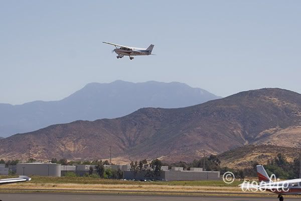 IMAGE: http://i145.photobucket.com/albums/r233/asolie/Birds/MountainTakeoff.jpg