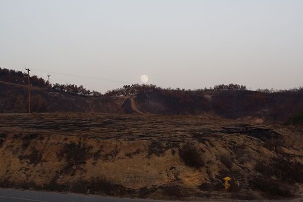 IMAGE: http://i145.photobucket.com/albums/r233/asolie/Different%20Things/Fallbrook%20Drive%2011-23-07/ScorchedEarth600px.jpg