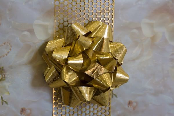 IMAGE: http://i145.photobucket.com/albums/r233/asolie/Events/Kinnaman%20Wedding/IMG_3396.jpg