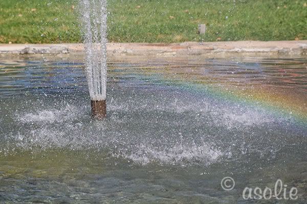 IMAGE: http://i145.photobucket.com/albums/r233/asolie/Fair%20Photos/2WaterFountain.jpg
