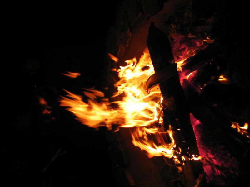 IMAGE: http://i145.photobucket.com/albums/r233/asolie/Fire/Bonfire.jpg