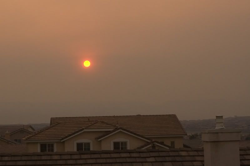 IMAGE: http://i145.photobucket.com/albums/r233/asolie/Fire/IMG_5569.jpg