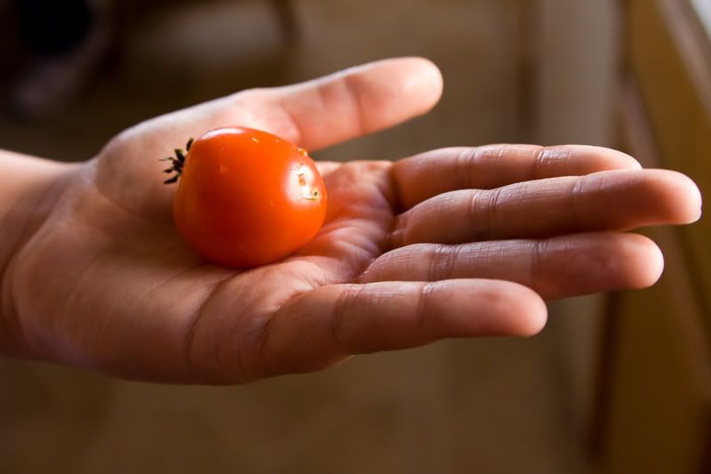 IMAGE: http://i145.photobucket.com/albums/r233/asolie/Fire/IMG_5634.jpg