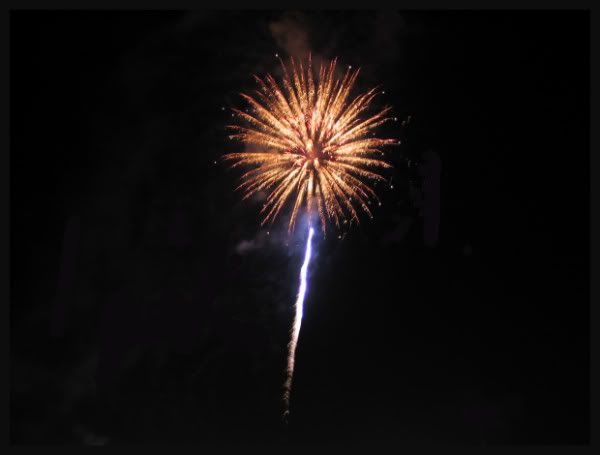 IMAGE: http://i145.photobucket.com/albums/r233/asolie/Fireworks/Orange-Firework.jpg