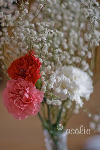 IMAGE: http://i145.photobucket.com/albums/r233/asolie/Flowers/3Carnations.jpg