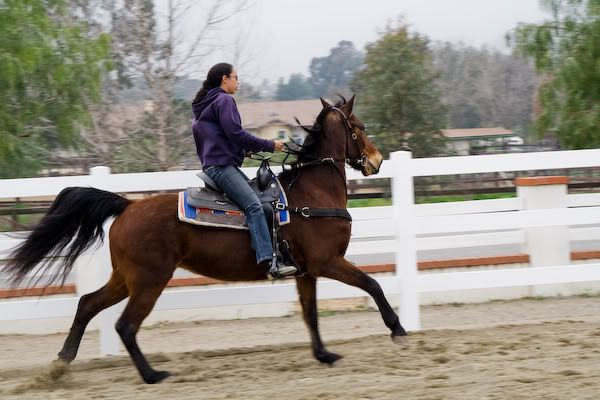 IMAGE: http://i145.photobucket.com/albums/r233/asolie/IMG_7707.jpg