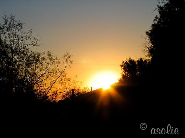 IMAGE: http://i145.photobucket.com/albums/r233/asolie/Ironwood%20Camp%202008/Dawn2.jpg