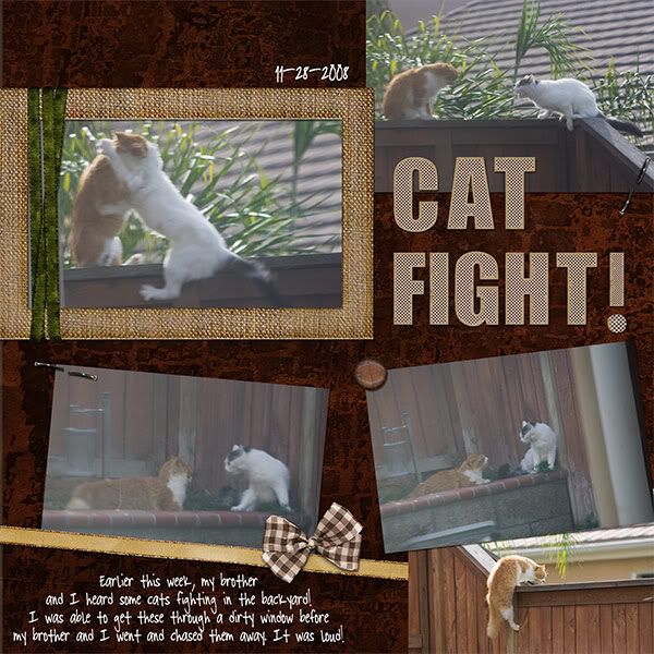 IMAGE: http://i145.photobucket.com/albums/r233/asolie/My%20Layouts/CatFight.jpg