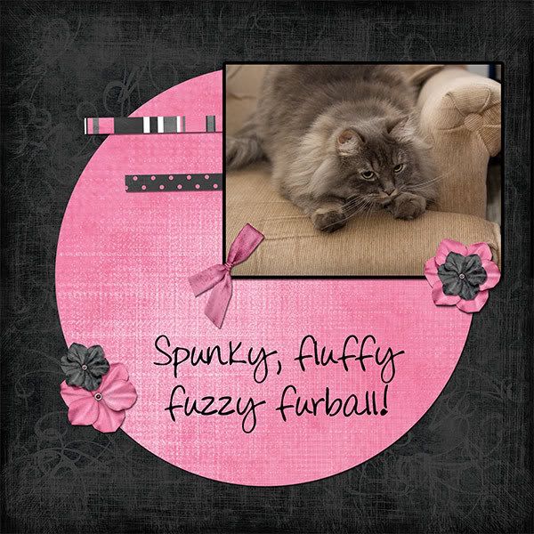 IMAGE: http://i145.photobucket.com/albums/r233/asolie/My%20Layouts/StalkerWEB.jpg