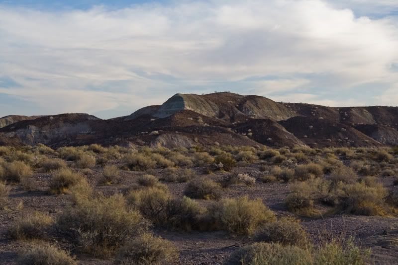 IMAGE: http://i145.photobucket.com/albums/r233/asolie/Pahrump/Pahrump2007-Alyssa-336.jpg