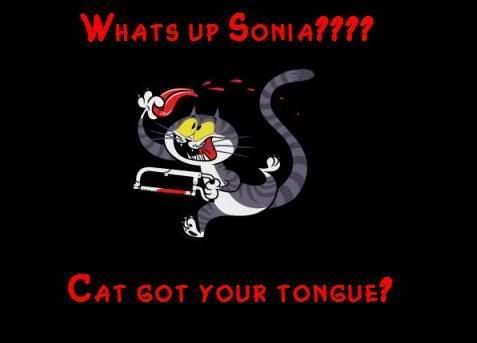 cat got your tongue Pictures, Images and Photos