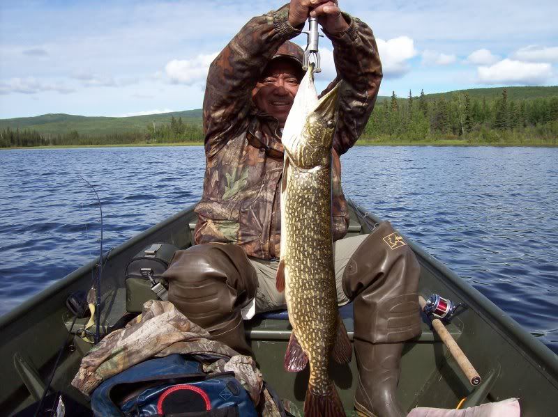 What is considered a big pike in Alaska?