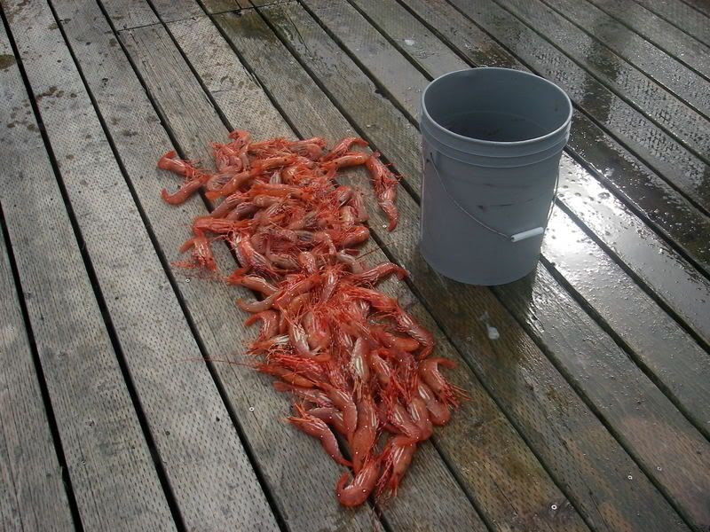 Home Built Crab Pot Puller