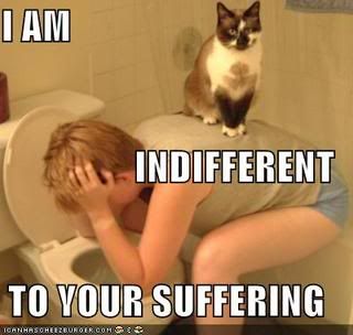 indifferent.jpg