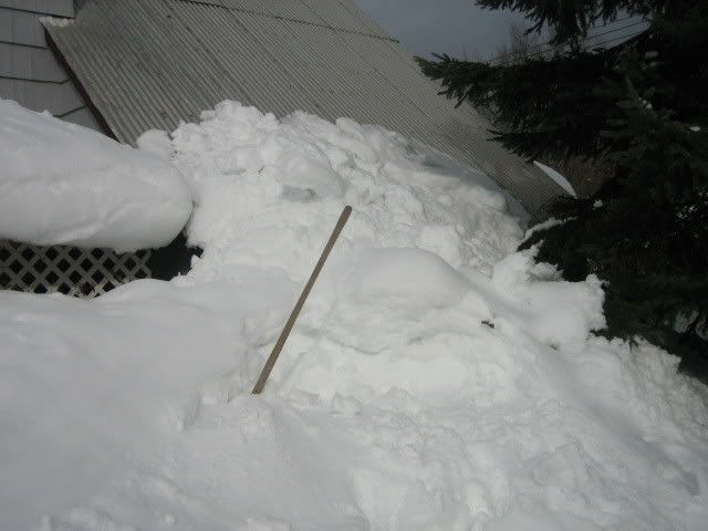 traplineFeb016.jpg