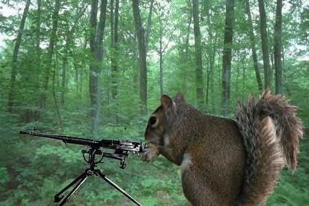 SquirrelGun_sm.jpg