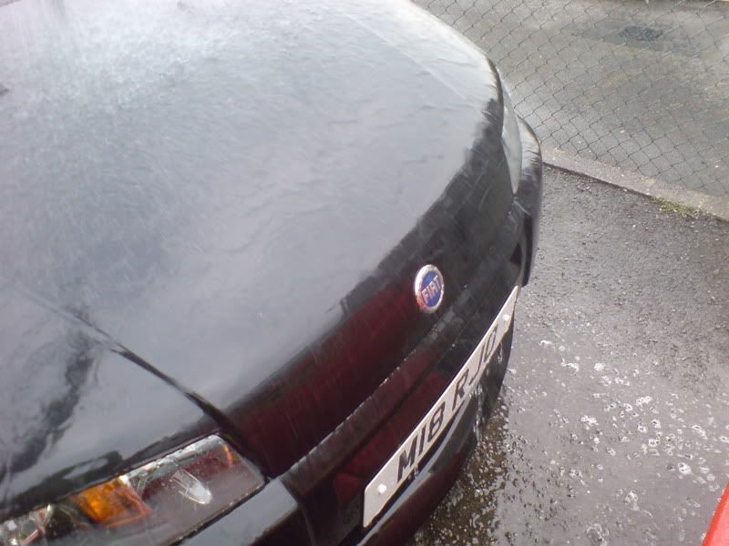 DSC00063.jpg