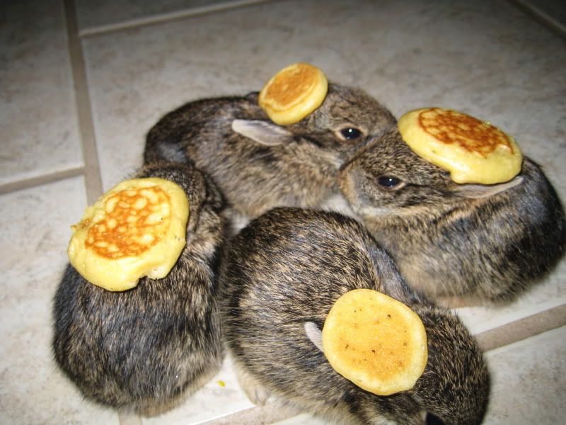 bunny-pancakes-1.jpg