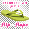 FLIPFLOPS