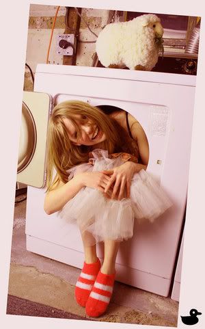 dryer Pictures, Images and Photos