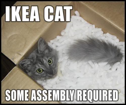 [Image: ikea-cat-some-assembly-required.jpg]