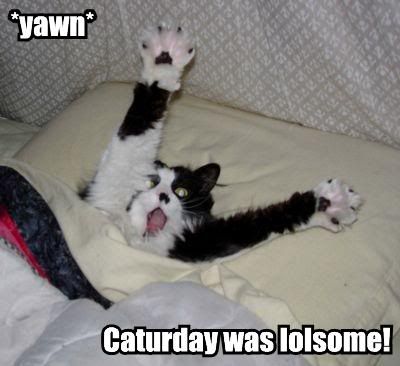 yawn-caturday-was-lolsome1.jpg