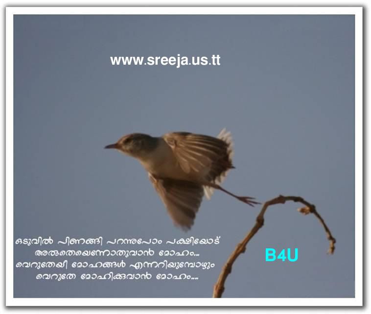 love poems in tamil language. 2011 love poems in tamil