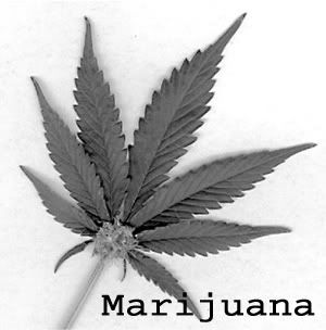 [Image: marijuana_addiction.jpg]