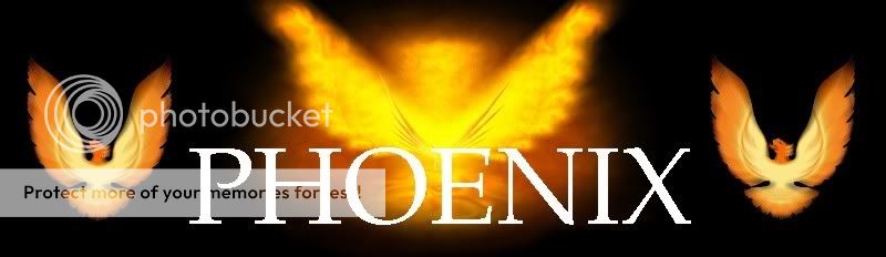Guild of the Phoenix banner