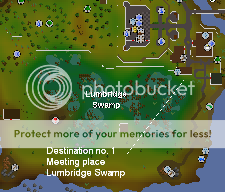 Macki's Big 'n' Fat Runescape Party! - RuneScape Events - Sal's ...