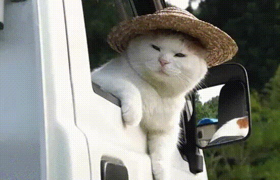 A6yNhUQ_zpst15sesmk.gif